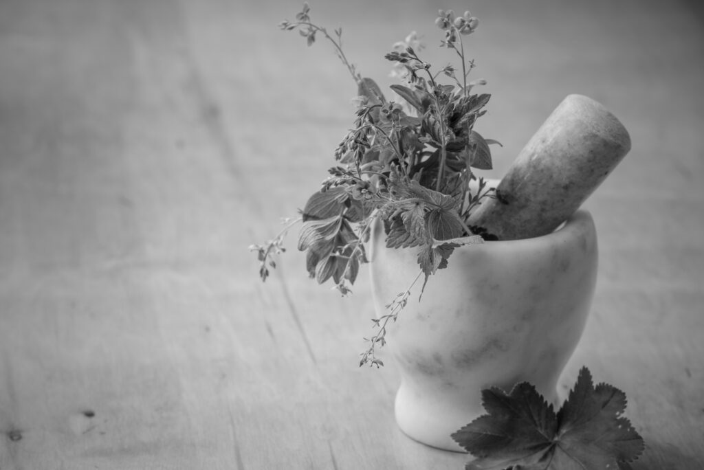 A flower in mortar and pestle